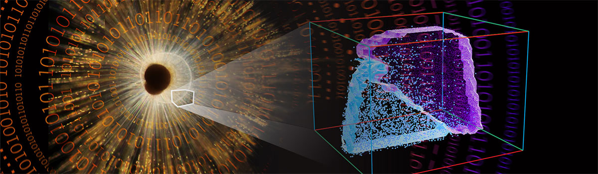 Atom probe tomography and microscopy for nanoscale material analysis