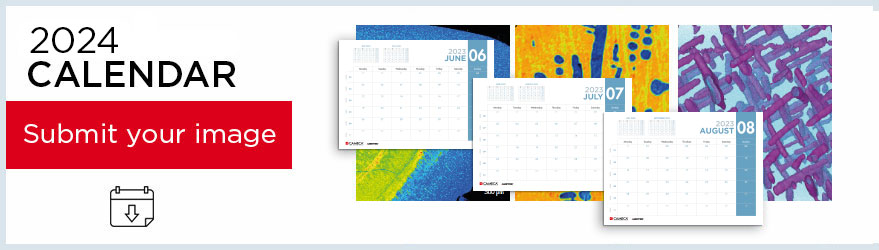 calendar 2024