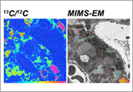 Vanderbilt 新文章