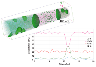 Atom Probe Tomography of an iron-based superalloy